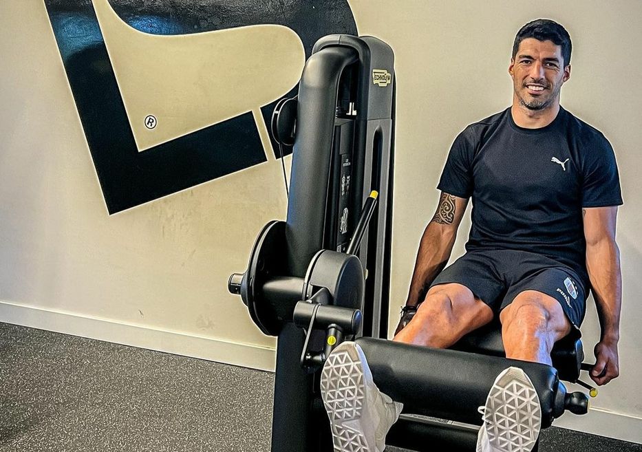 Deshoja la margarita