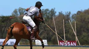 Cueste lo que ecuestre