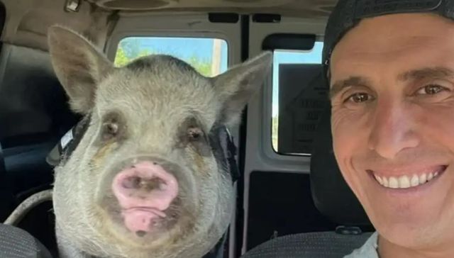 Todo bicho que camina