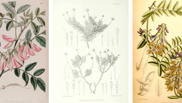 Reverdecer es necesario