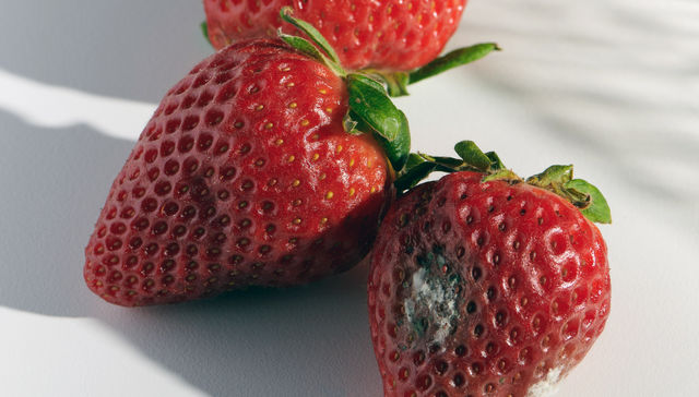 Por The New York Times