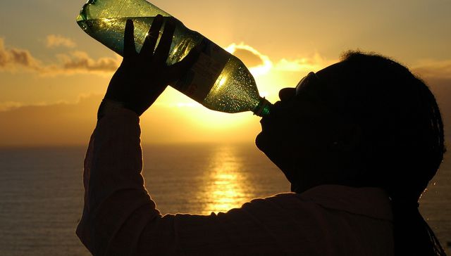 De la fuente de la juventud