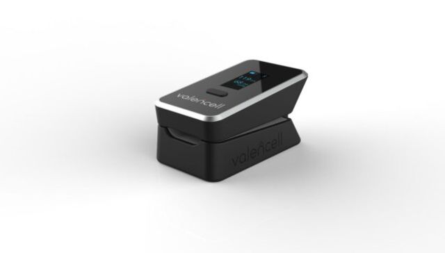 Literalmente digital