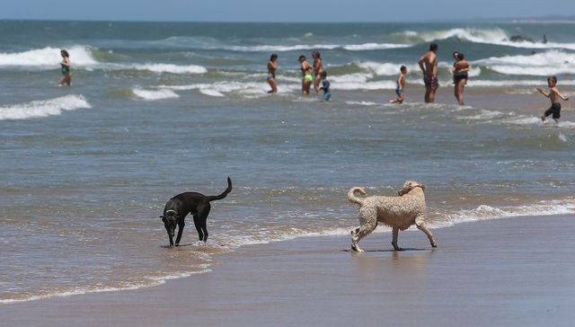 Cuidar lo que es para todos