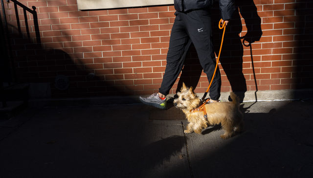 Por The New York Times