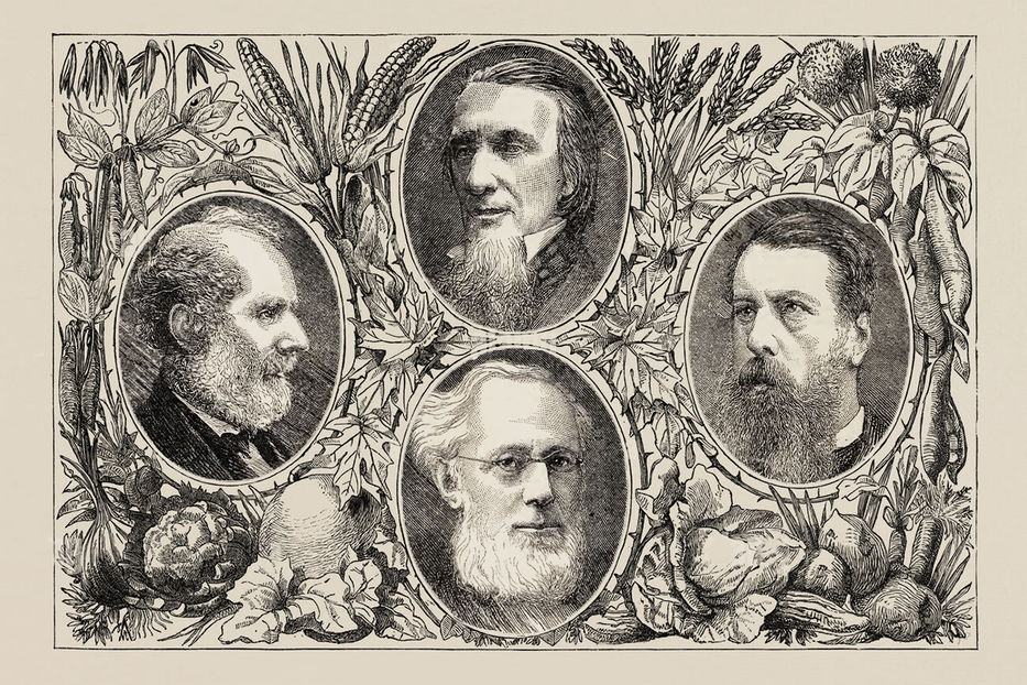 Algunos de los miembros de la Sociedad vegetariana: Francis William Newman (arriba), John Davie (izquierda), Isaac Pitman (abajo) y William Gibson Ward (derecha).