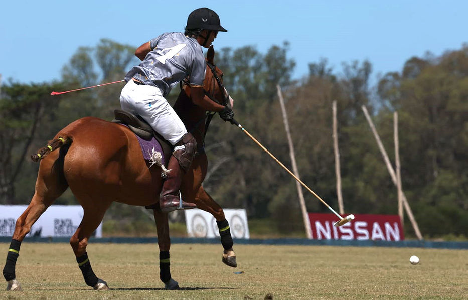 Cueste lo que ecuestre