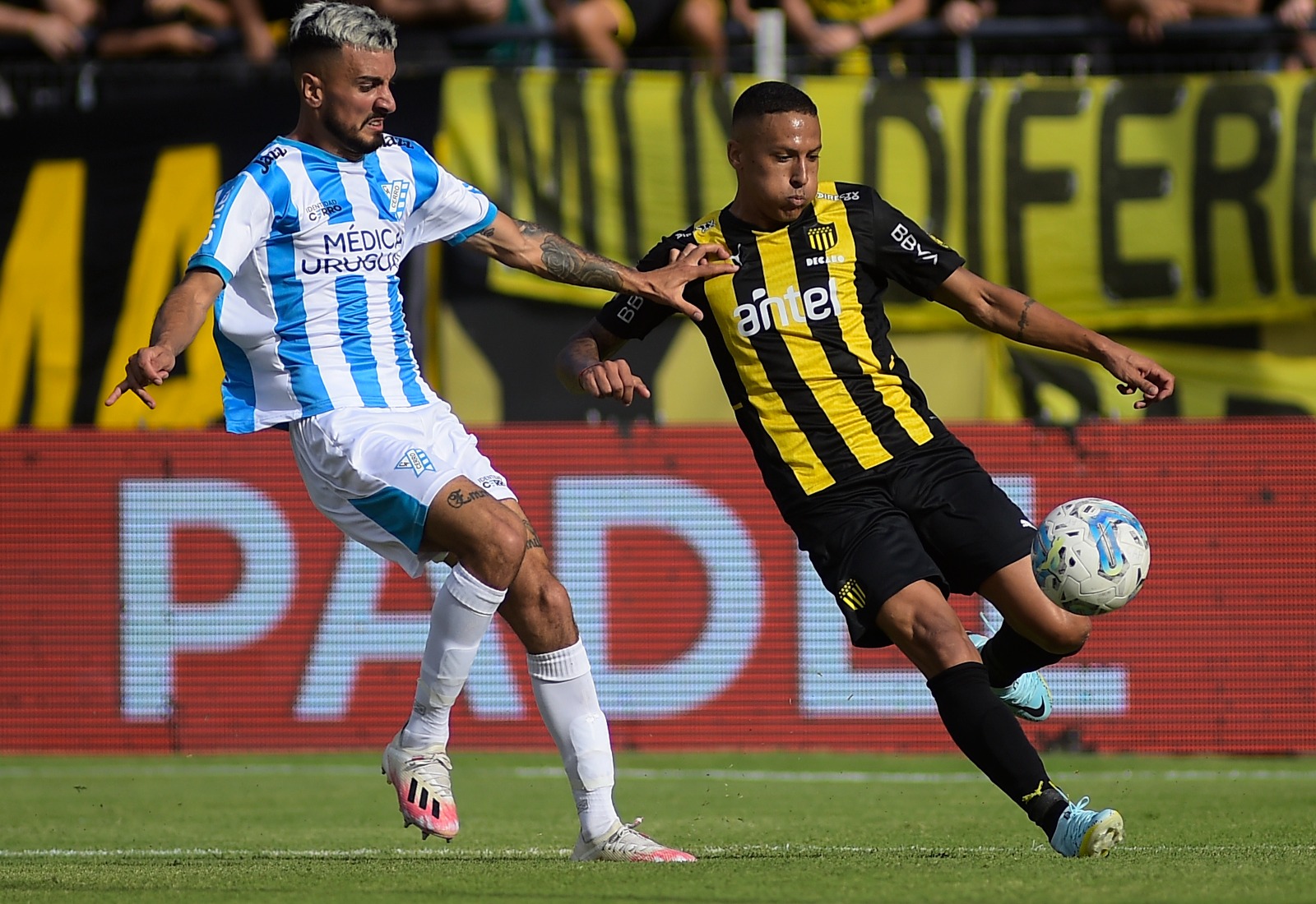 Por qué no se jugará ningún partido del Torneo Clausura uruguayo