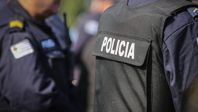 Pichoneros en alerta