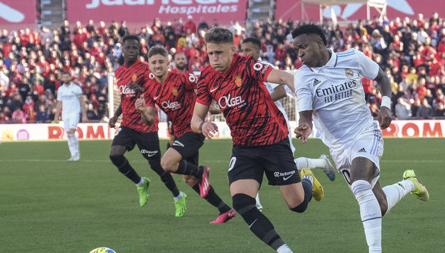 Leña del Real caído