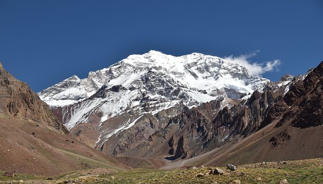 Pico de muertes