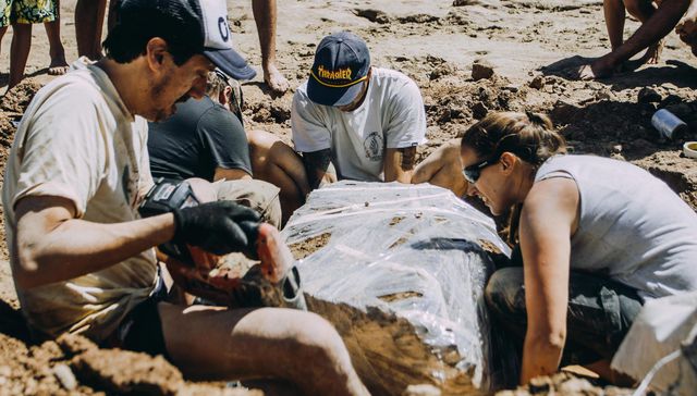 Siempre hay que indagar