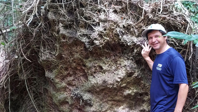 Una cosa trae la otra