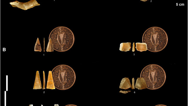 Tecnología de punta