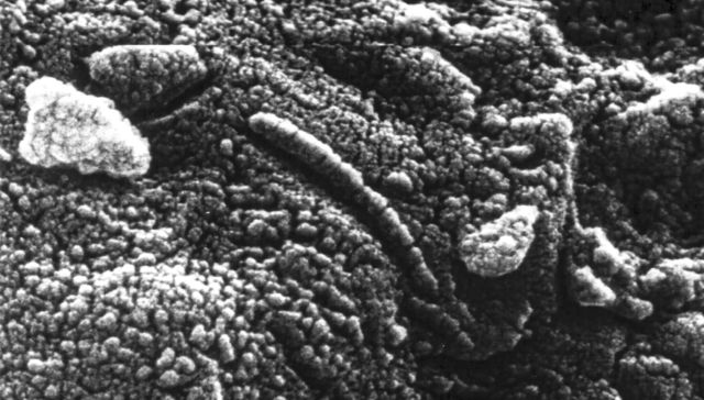 Por The New York Times