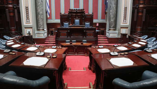 Escribe Carmen Asiaín