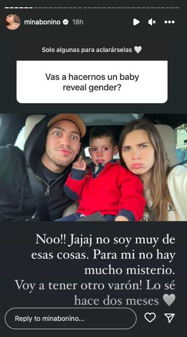 Foto: captura de historias de Instagram / @minabonino