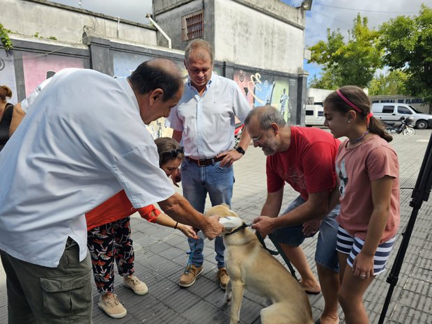 Inaugurarán un albergue transitorio canino en las afueras de Florida