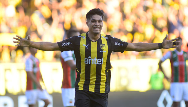 Con la mira calibrada