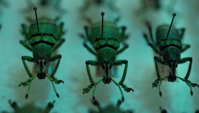 Retratar la realidad