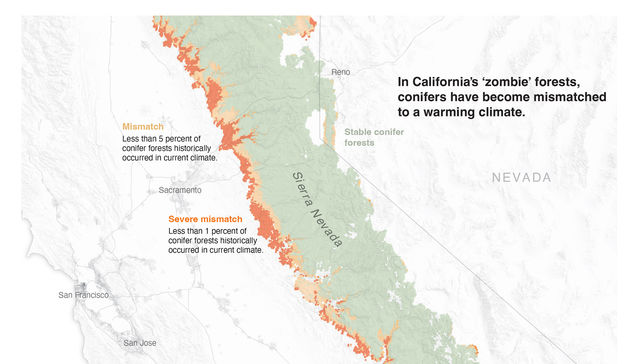 Por The New York Times