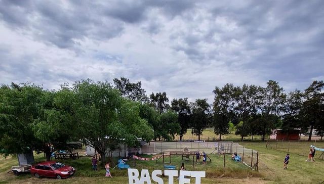 Los gatitos son lo mejor