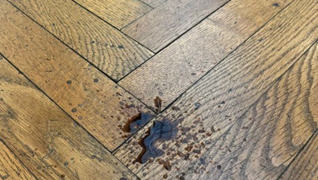 Exposición líquida