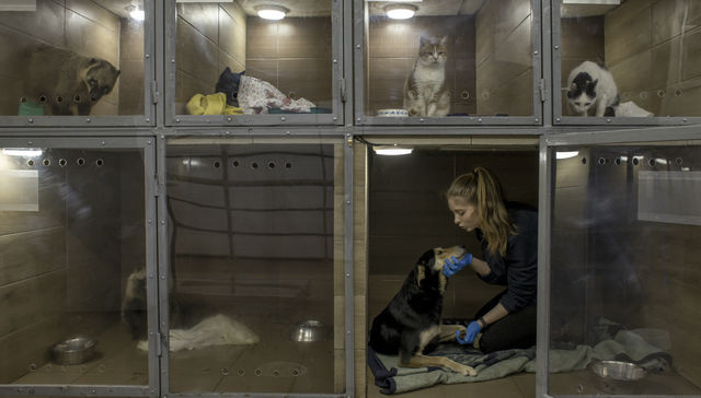 Por The New York Times