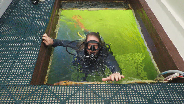 Lindo para hacer asado