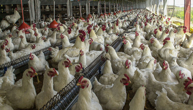 No hay mal que por bien no venga