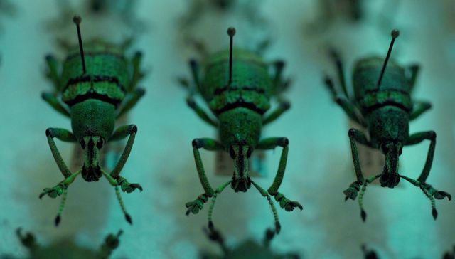 Retratar la realidad