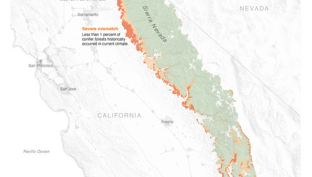 Por The New York Times