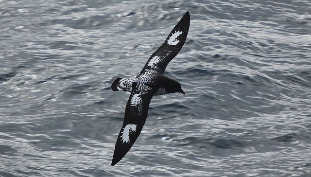 Hoy no que hay temporal