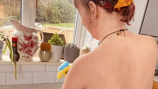 Pasa el trapo sin trapos