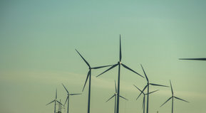 El público se renueva