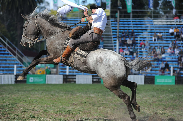 Foto: Federico Gutiérrez / FocoUy