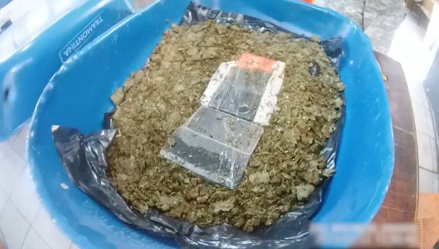 Iba con plantas