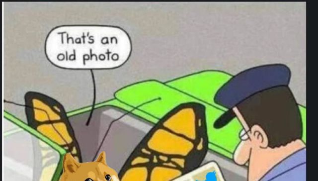 A cara de perro