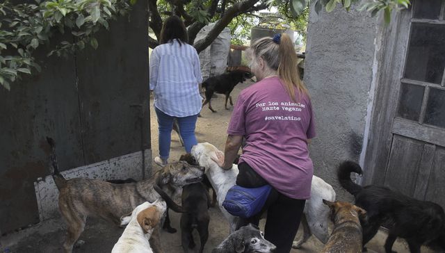 Dos piensan mejor que uno
