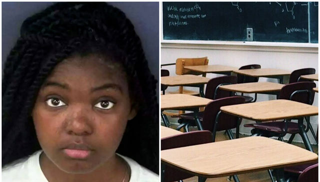 La escuelita del crimen