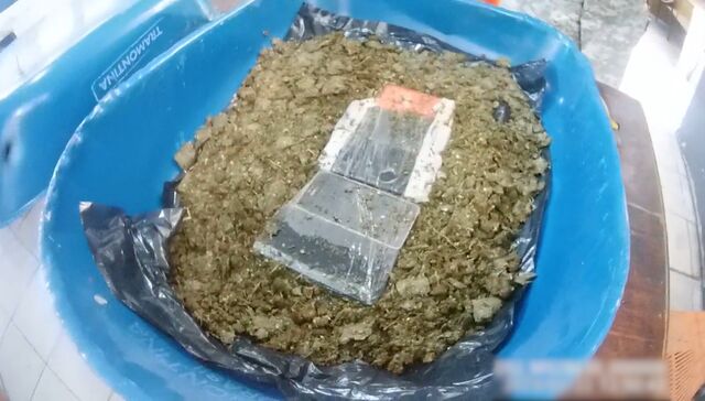 Iba con plantas