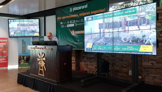 La hora de los pequeños