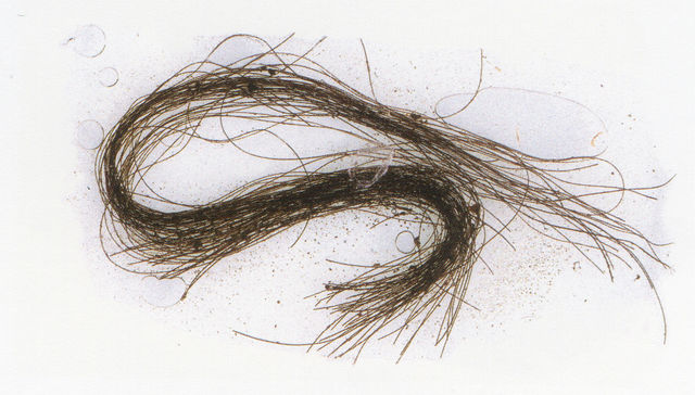 Modernos, los antiguos