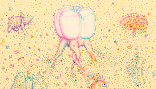 Por The New York Times