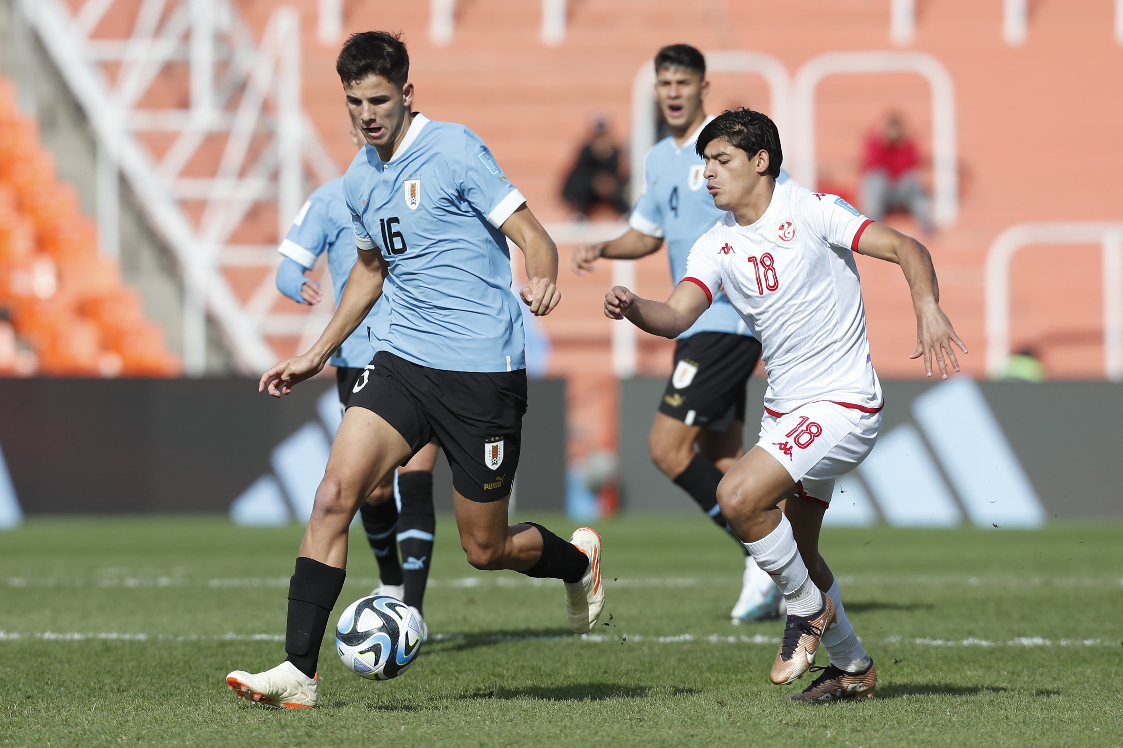 Qué dijo Marcelo Broli tras la victoria de Uruguay ante Gambia en