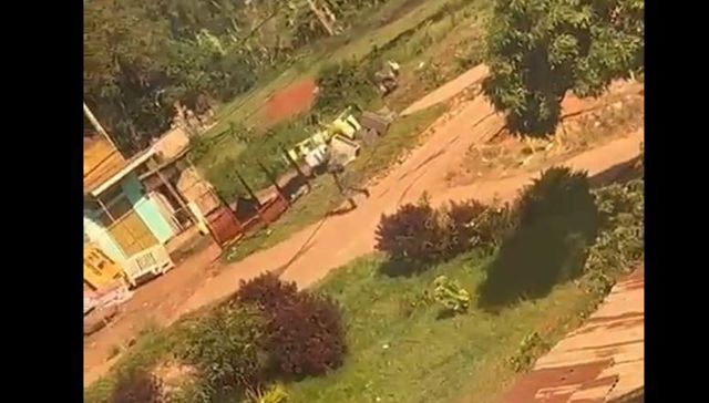 You only had one job