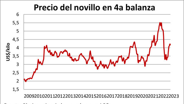Escribe Eduardo Blasina