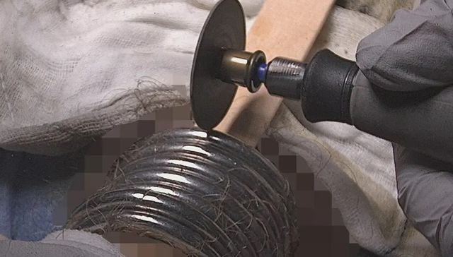 Los nueve anillos de los hombres