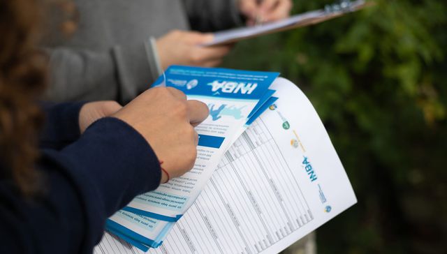 Who Let The Dogs Out