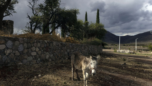 Por The New York Times